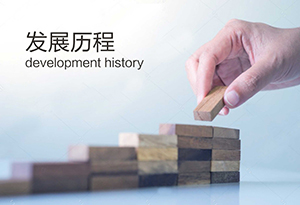 發(fā)展歷程